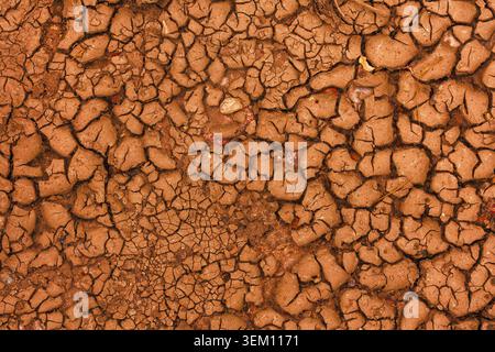 Geplatzte Erde. Eine trockene Landschaft mit zerrissenen, trockenen Erdmustern in einem warmen Orangenton Stockfoto