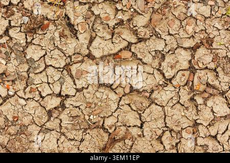 Geplatzte Erde. Eine trockene Landschaft mit zerrissenen, trockenen Erdmustern in einem warmen Orangenton Stockfoto
