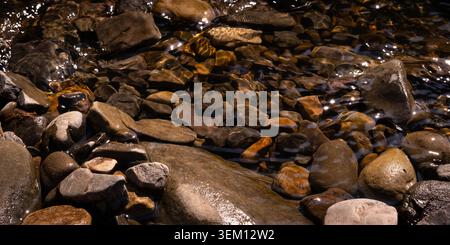 Nahaufnahme der glatten Flusssteine, sichtbar durch klares fließendes Wasser mit Sonnenlichtreflexionen und natürlichen Wellen. Abstrakter natürlicher Hintergrund Stockfoto