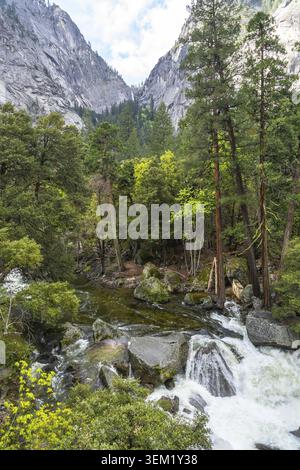 Der Merced River fließt über Granitfelsen und kleine Kaskaden, umgeben von einem dichten Wald, mit den majestätischen Granitklippen des yosemite Valley Stockfoto