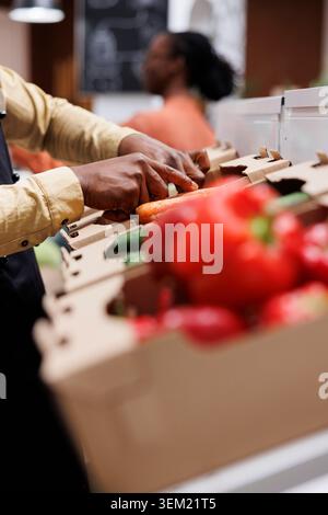 Selektive Fokussierung eines afroamerikanischen männlichen Handpaares, das Karotten in Kisten anordnet. Auf diesem Nahaufnahme-Bild sehen wir leuchtende rote Paprika und eine Person, die Gemüse im Regal organisiert. Stockfoto