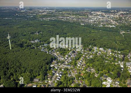 Luftansicht, Speldorfer Wald, Funkturm Sendeturm und Haus Hartenfels, schlossartige Villa im Wald, Wolfsberger Waldsiedlung, Neudo Stockfoto