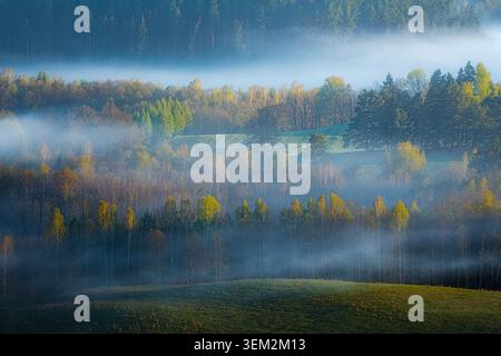 Blick auf sanfte Hügel und dichte Wälder, bedeckt mit dickem Morgennebel während des Sonnenaufgangs in Kowale Oleckie, Woiwodschaft Ermland-Masuren, Polen. Stockfoto