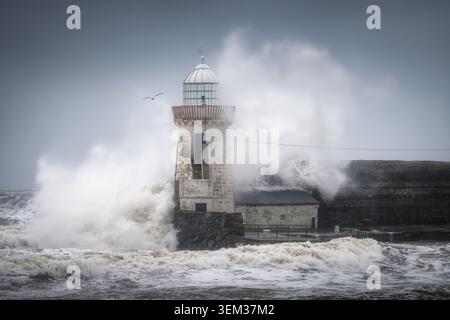Blick auf den Balbriggan Lighthouse, während gewaltige Wellen unter einem stürmischen Himmel mit einer Möwe in Balbriggan, County Dublin, Irland, gegen den Steinpier krachen. Stockfoto