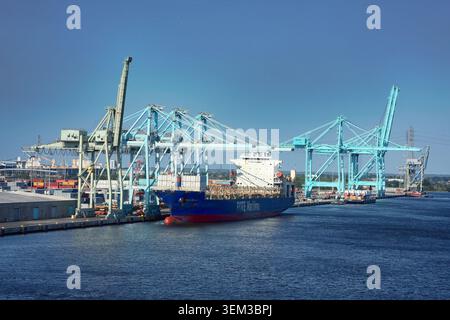 JACKSONVILLE, FLORIDA - 1. JUNI 2026: Die MV Isla Bella, ein mit LNG betriebenes Containerschiff VON TOTE Maritime, dockte unter großen Ladungsbrücken an JAXPORT an Stockfoto