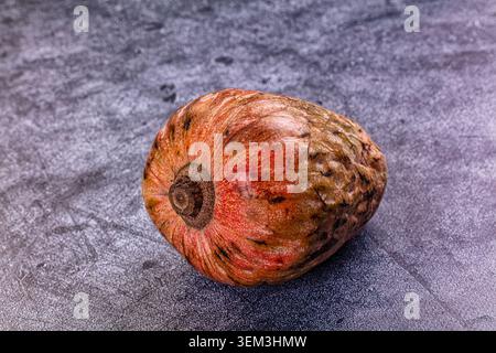 Einzelne reife Cherimoya-Frucht mit strukturierter roter und brauner Haut auf grauer Steinoberfläche. Draufsicht mit sanfter Beleuchtung und Kopierraum für Design oder kulinarische Zwecke Stockfoto