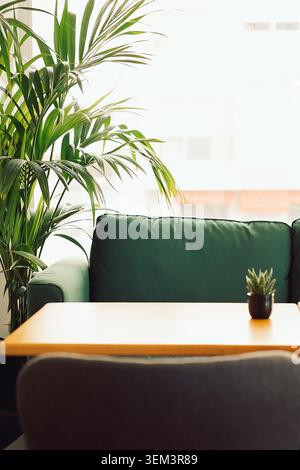Grüne Couch und Holztisch in hellem Raum mit einer kleinen Pflanze am Fenster tagsüber. Eine kleine Anlage wird auf der Tabelle angezeigt. Das Sonnenlicht füllt sich Stockfoto