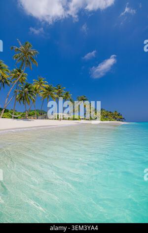 Unberührter tropischer Strand mit einer schiefen Palme über klarem, türkisfarbenem flachem Wasser. Weißer Sand, blauer Himmel, kleine Insel. Sommerreise-Paradies, Urlaubsoase Stockfoto