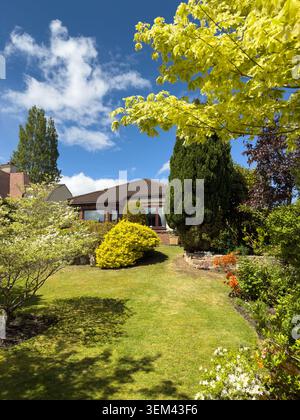 WIRRAL, MERSEYSIDE, ENGLAND - 18. MAI 2026: Garten vor dem Bungalow zeigt blühende Sträucher und Bäume im Frühling Stockfoto