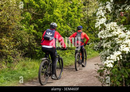 Rückansicht von zwei Mountainbikern, die auf einem Schotter-Naturweg entlangfahren, der mit grünen Bäumen und weißen Frühlings-Hainbuchenblüten am Wirral Way gesäumt ist. Stockfoto