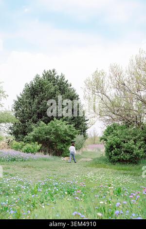 Frau, die mit dem Hund durch ein Feld voller Wildblumen geht Stockfoto