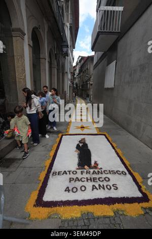 Ponte de Lima, Portugal - 4. Juni 2026: Besucher bewundern die komplizierten Sägemehl- und Blumenteppiche entlang der engen historischen Gassen von Ponte de Lima f Stockfoto
