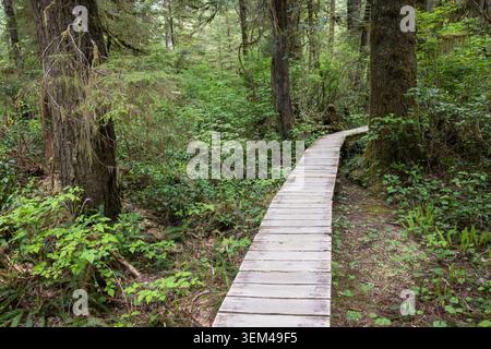 Der Wooden Boardwalk Trail Schlängelt Sich Durch Üppiges Moosbewachsenes Gemäßigtes Vorderland Stockfoto