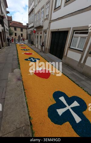 Ponte de Lima, Portugal - 4. Juni 2026: Besucher bewundern die komplizierten Sägemehl- und Blumenteppiche entlang der engen historischen Gassen von Ponte de Lima f Stockfoto
