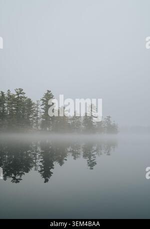 Kiefern und Hütte, die sich am nebeligen Morgen auf einem nebeligen See spiegeln Stockfoto