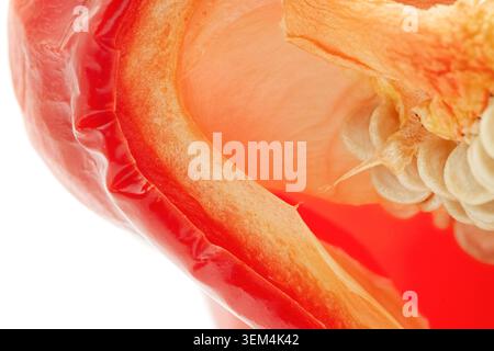 Makrohorizontale Großaufnahme von geschnittenem süßrotem Paprika innerhalb der Kernstruktur mit weißen Samen Stockfoto