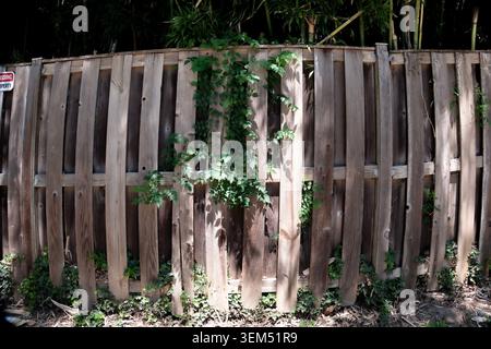 Ein verwitterter Holzzaun in verwittertem Licht Stockfoto