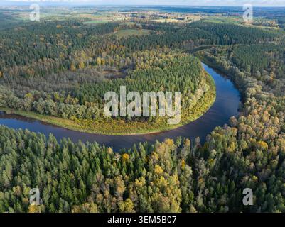 Aus der Vogelperspektive eines dramatischen Gauja-Flusses, umgeben von dichtem Herbstwald im Gauja-Nationalpark, Lettland Stockfoto
