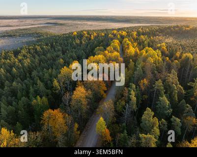 Herbstliche Forststraße durch die Landschaft des Kangari Naturpfads während der goldenen Stunde in Lettland Stockfoto