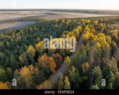 Goldene Herbststraße führt durch die Landschaft des Kangari Nature Trail bei Sonnenuntergang in Lettland Stockfoto