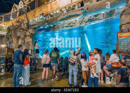 Memphis, Vereinigte Staaten, 23. MAI 2026 - Menge von Menschen steht vor einem großen Aquariumbaum im Innenraum und beobachtet Fische und ein Seekuh, die im Blauen schwimmen Stockfoto
