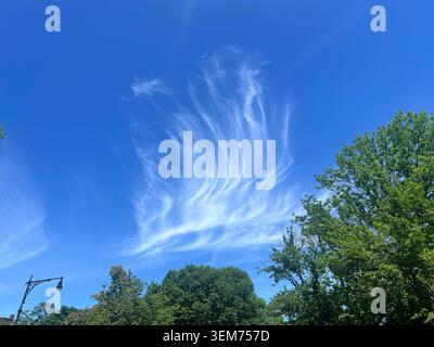 Dies scheint eine Bildung von Zirruswolken zu sein, wahrscheinlich eine Sorte namens Cirrus fibratus oder Cirrus uncinus, die stark von Höhenwinden geformt wurde. Stockfoto