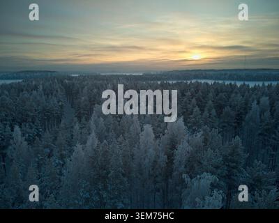 Eine Drohnenperspektive aus der Luft auf einen dichten, frostbedeckten Borealen Wald und gefrorene Seen bei Sonnenuntergang in Saimaa, Finnland. Diese malerische Winterlandschaft ist per Stockfoto