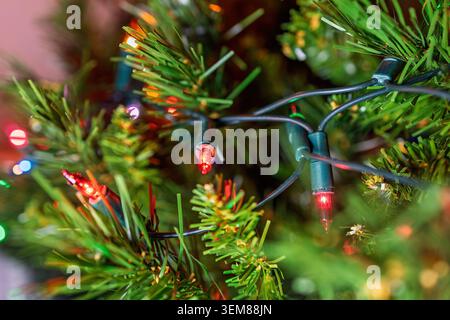Aus nächster Nähe sehen Sie farbenfrohe Weihnachtslichter, die durch immergrüne Zweige auf einem geschmückten Weihnachtsbaum mit festlichem Bokeh gewebt sind Stockfoto