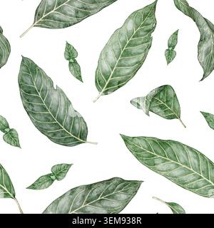 Nahtloses Muster der tropischen Sanchezia speciosa. Handgezeichnete Aquarellillustration mit grünen exotischen Blättern im botanischen Stil. Dekoratives Hintergrunddesign für Sommertapeten oder florale Textilien Stockfoto