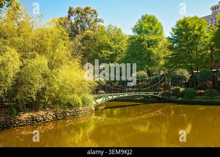 Wunderschöne hölzerne Hängebrücke über einen ruhigen Teich, umgeben von üppigen grünen Bäumen und dichten Bambusdickicht in einem öffentlichen Stadtpark. Batumi, Georgien Stockfoto