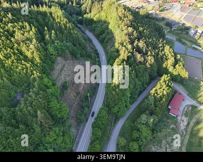 Kurvenreiche Straße führt durch dichten grünen Wald. Sonnenlicht leuchtet auf Bäumen und eine ruhige Landschaft. Ein einsamer Wagen fährt den schmalen Weg entlang. Rotes Dach Stockfoto