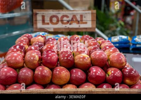Viele frische Äpfel werden auf einem Markt auf einem Stapel angeordnet. Ein hölzernes Schild mit der Aufschrift „Lokal“ ist im Hintergrund sichtbar. Hier finden Sie frische Produkte Stockfoto