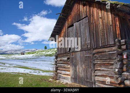Eine traditionelle Almhütte auf einer Wiese mit Schneeflächen in den italienischen Dolomiten, Alta Badia, Südtirol, Italien Stockfoto