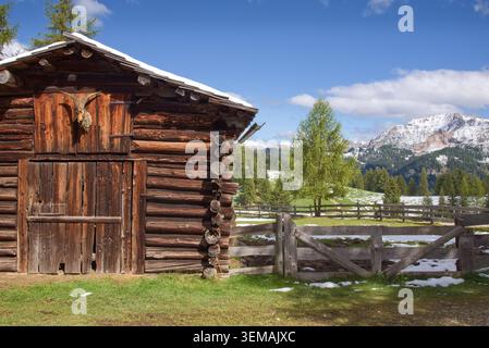 Eine traditionelle Almhütte auf einer Wiese mit schneebedeckten Bergen im Hintergrund in den italienischen Dolomiten, Alta Badia, Südtirol, Italien Stockfoto