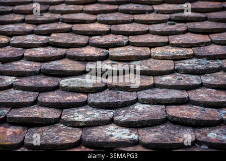 Nahaufnahme von verwitterten Lehm-Dachziegeln mit Flechten und Moos, mit rauer Textur, altertümlichen Oberflächen und sich wiederholenden Mustern auf einem alten rustikalen Dach. Stockfoto