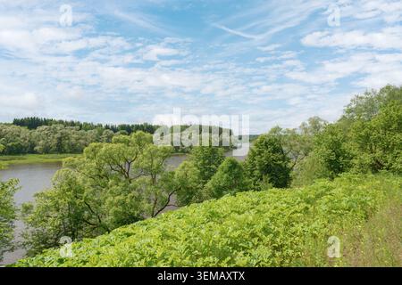 Ein breiter Fluss fließt an einem grünen Wald und einem steilen grasbewachsenen Hügel vorbei. Eine dicke krautige Vegetation bedeckt das hohe Ufer unter einem blauen bewölkten Himmel. Stockfoto