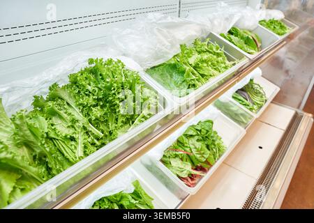 Gesunde vegetarische Bio-Mahlzeit mit frischem Gemüse, essbaren Blumen, gewürztem Tofu und Beilagen auf einem Holztisch sowie Salatvorhang zum Selbstbedienen. Stockfoto
