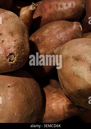 Nahaufnahme mehrerer brauner Kartoffeln, die sich aneinander stapeln und raue Häute mit Schmutzflecken, abgerundete Formen und warme Erdtöne in weichen Schatten zeigen Stockfoto