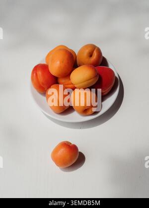 Frische Aprikosen in weißer Untertasse mit einer Aprikose auf weißem Tisch, vertikale flache Ladefläche Stockfoto