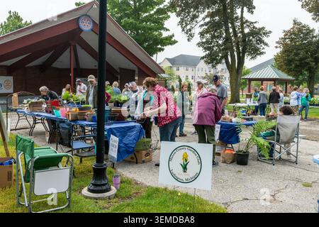 LUDINGTON, MICHIGAN, USA - 6. JUNI 2026. Gärtner stöbern beim AFFEW Annual Native Plant Sale und beim Mason County Garden Club Spring Plant Exchange im Rotary Park durch die Tische mit Pflanzen und Töpfen. Der Mason County Garden Club, der 1926 gegründet wurde, war Co-Gastgeber der Outdoor-Veranstaltung, an der Teilnehmer aus der ganzen Region teilnahmen. Quelle: Jeffrey Wickett/Alamy Live News Stockfoto