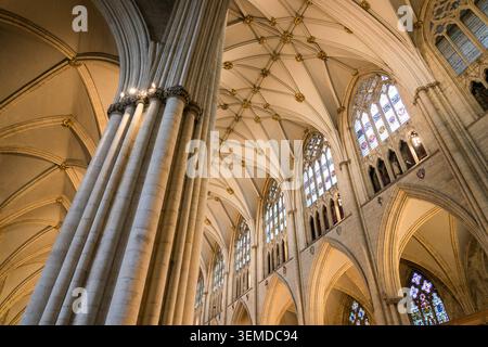 Die Kathedrale und Metropolitical Kirche St. Peter in York, gemeinhin als das York Minster bekannt, ist die Kathedrale von York, England Stockfoto
