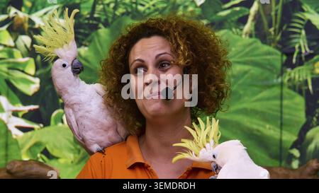 Zwei weiße Kakaos mit einer Frau, die ein Mikrofon vor grünem Hintergrund hält, Puerto Stockfoto