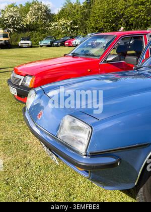 Klassische Vauxhall Cavalier Mk1 & Mk2 Autos, die während einer Oldtimer-Ausstellung im Freien in Großbritannien auf Gras geparkt wurden Stockfoto