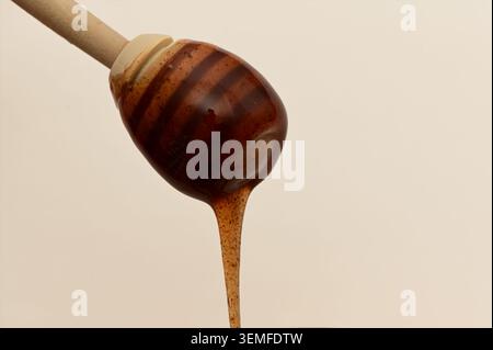Nahaufnahme von Honig, der aus einem hölzernen Honiglöffel auf neutralem Hintergrund tropft. Makrotextur, goldbrauner Sirup, minimale Zusammensetzung für Lebensmittel und pac Stockfoto