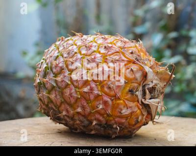 Die reife Ananas liegt auf einer Holzoberfläche. Grün hinterlässt eine sanfte Unschärfe. Natürliches Sonnenlicht hebt die strukturierte Haut hervor. Frisches Obst verströmt tropischen Charme. Ideal für Essen, Natur Stockfoto