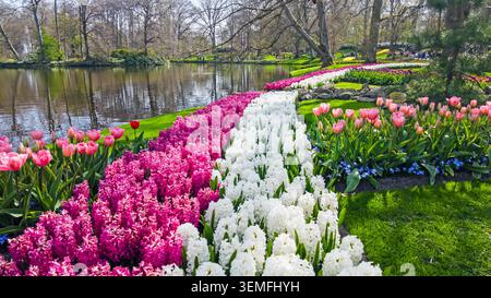 Bunte blühende Frühlingsblumen in einem Park in Europa Stockfoto