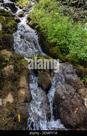 Kleiner Wasserfall, der über moosbedeckte Felsen in einer üppigen Waldlandschaft fließt Stockfoto