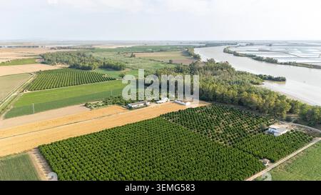 Aus der Vogelperspektive mit landwirtschaftlichen Flächen, grünen Obstgärten und goldenen Feldern, die an den Abschnitt Coria del Rio des Guadalquivir-Flusses grenzten Stockfoto