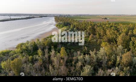 Luftaufnahme mit dem Fluss Guadalquivir, üppigen grünen Wäldern und landwirtschaftlichen Feldern in Andalusien, Spanien Stockfoto