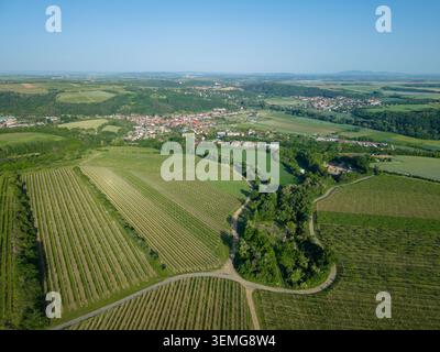 Aus der Vogelperspektive zeigt ein Dorf, das von sanften Weinbergen und landwirtschaftlichen Feldern umgeben ist Stockfoto